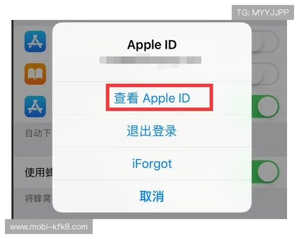 凯发手机版会员登录在哪里详细指南帮助用户快速找到登录入口